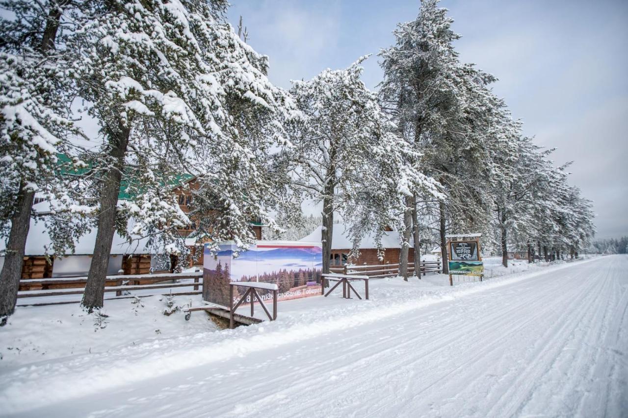 Yuraya Hotel Vorochta Buitenkant foto